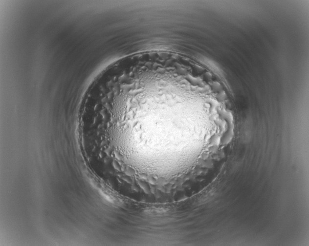 X0000079301051200611251708