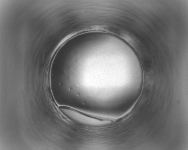 X0000079301052200611251708