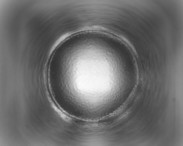 X0000079301054200611251708