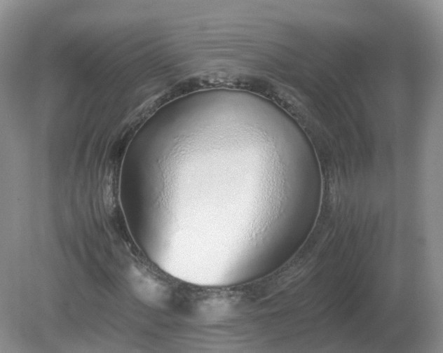 X0000079301060200611251707