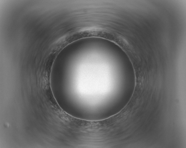 X0000079301062200611251707