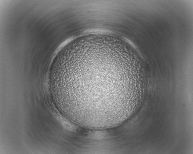 X0000079301074200611251707