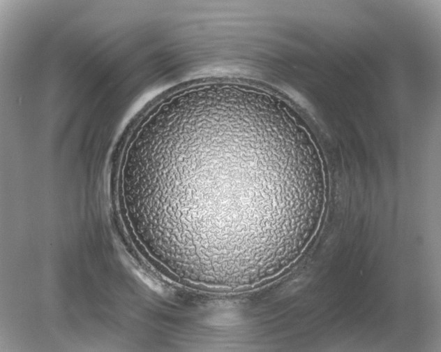 X0000079301078200611251707
