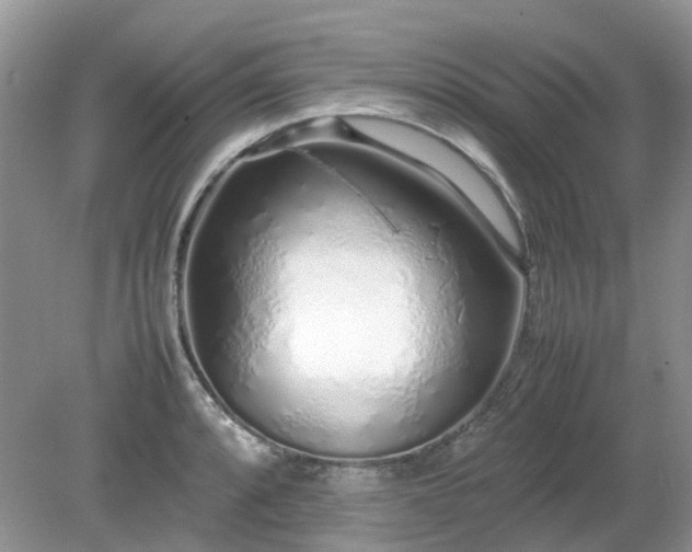 X0000079301088200611251707