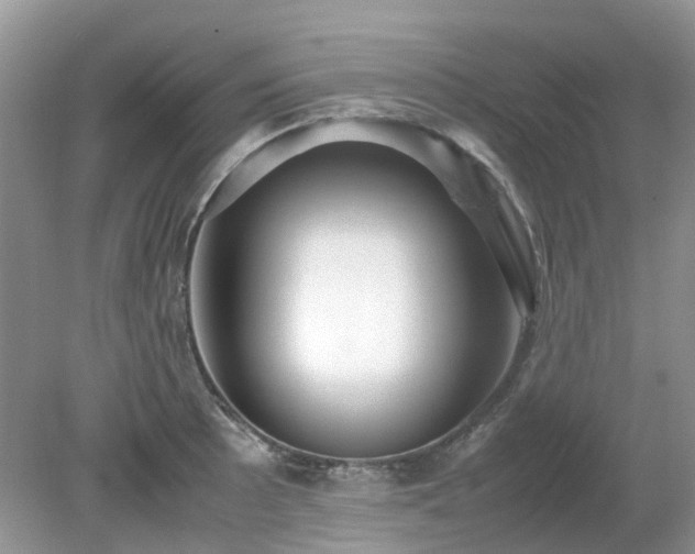 X0000079301089200611251707