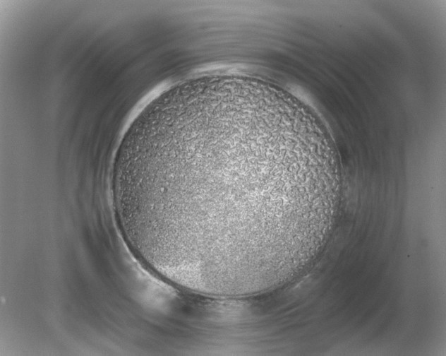 X0000079301090200611251707