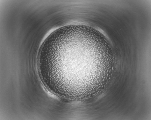 X0000079301094200611251707