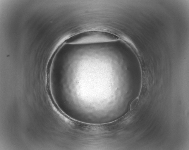 X0000079301095200611251706