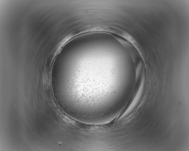 X0000079301097200611251706