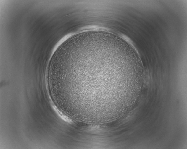 X0000079301098200611251706