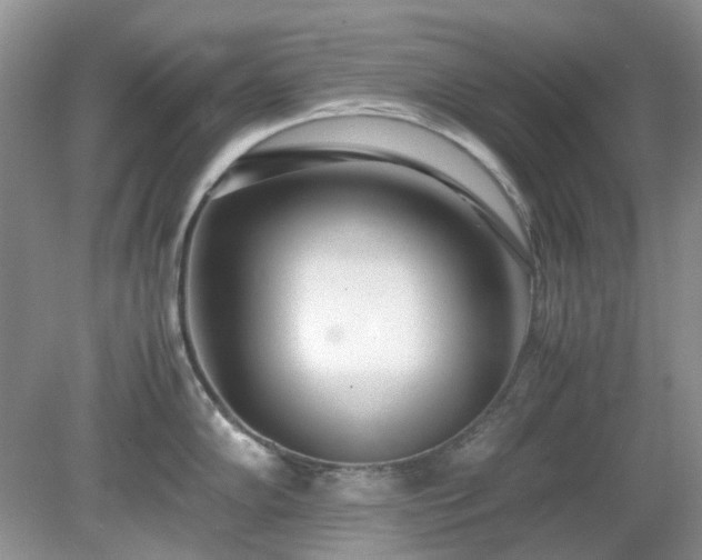X0000079301102200611251706