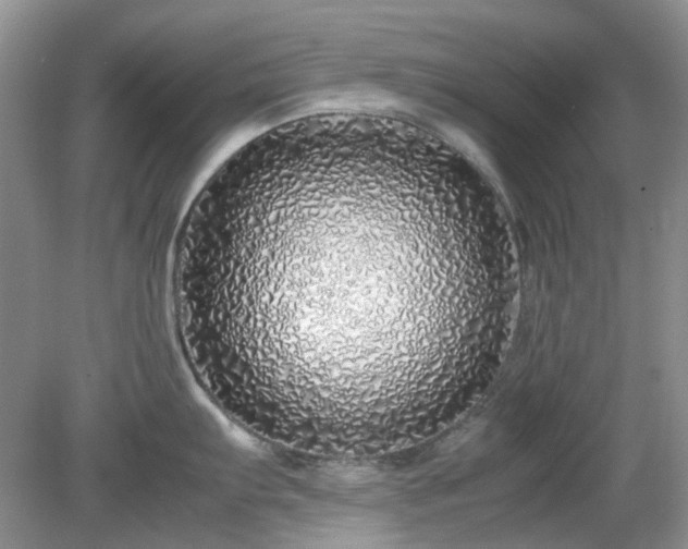 X0000079301103200611251706
