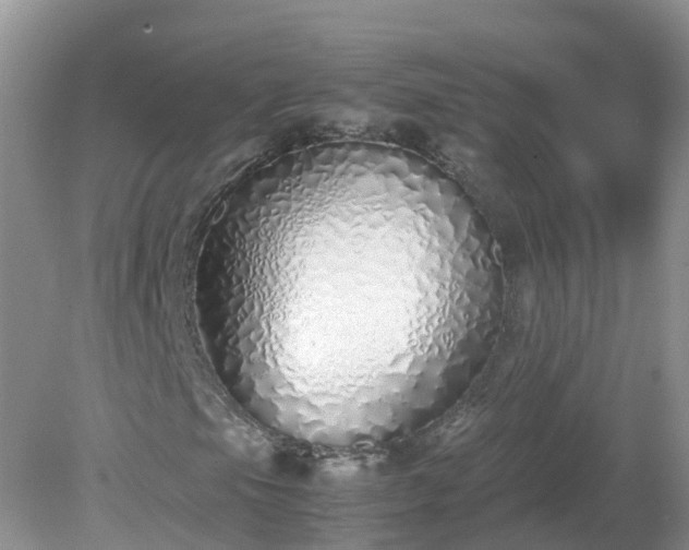 X0000079301105200611251706