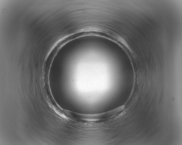 X0000079301116200611251706