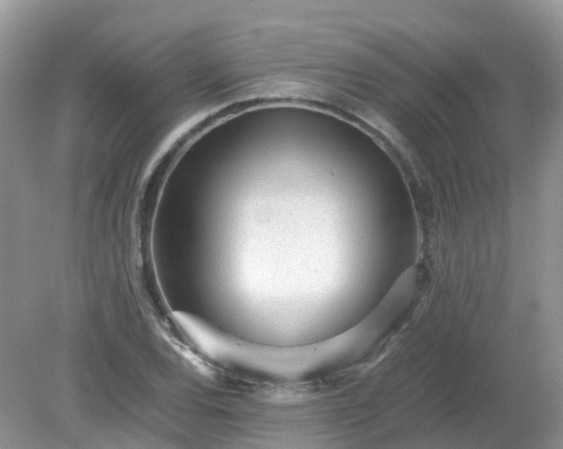 X0000079301120200611251706