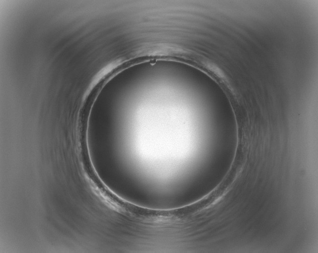 X0000079301122200611251706