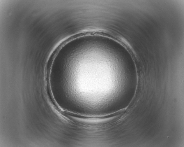 X0000079301124200611251706