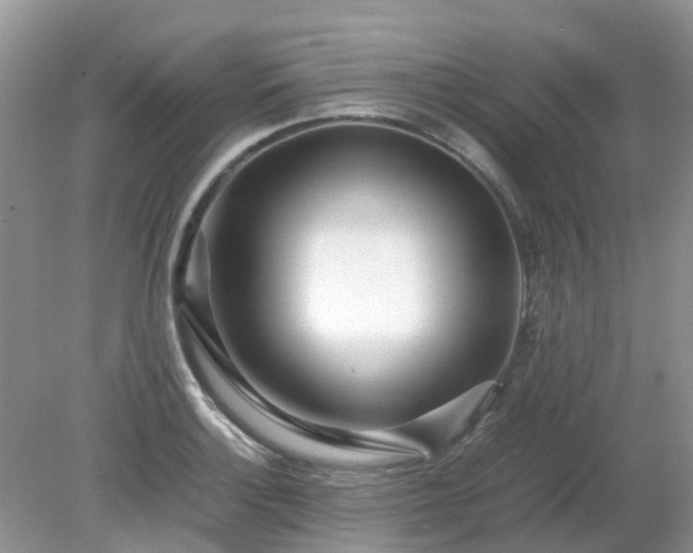 X0000079301132200611251706