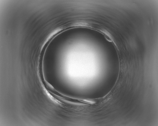 X0000079301139200611251706
