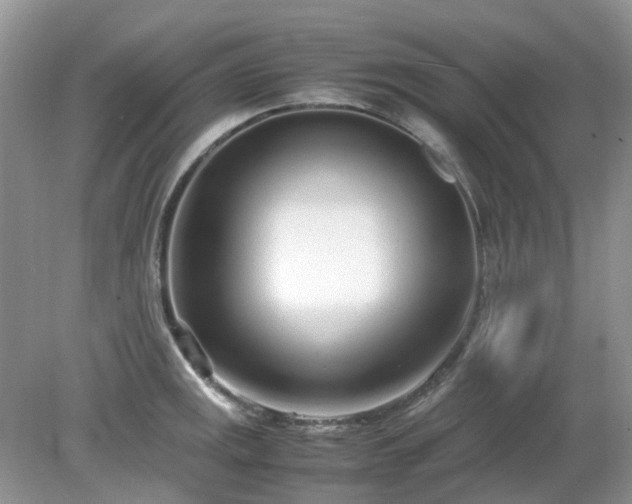 X0000079301141200611251706