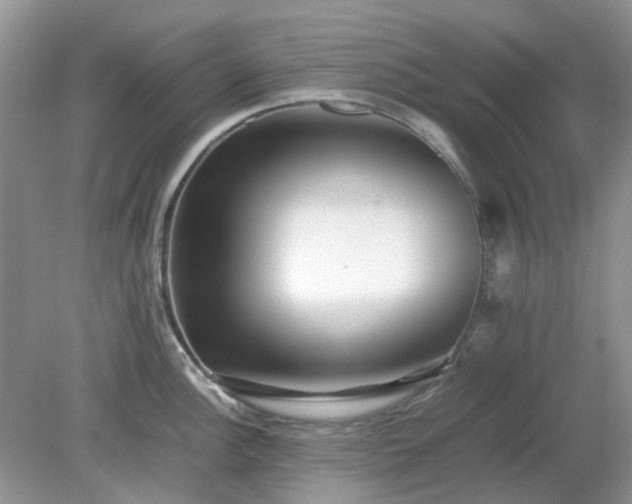 X0000079301148200611251706