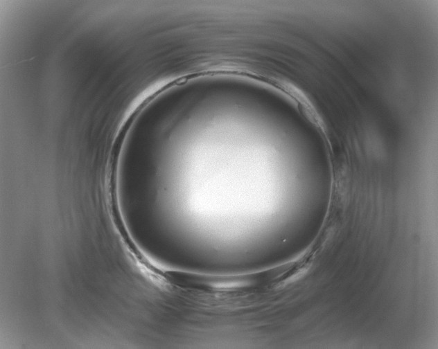 X0000079301149200611251706