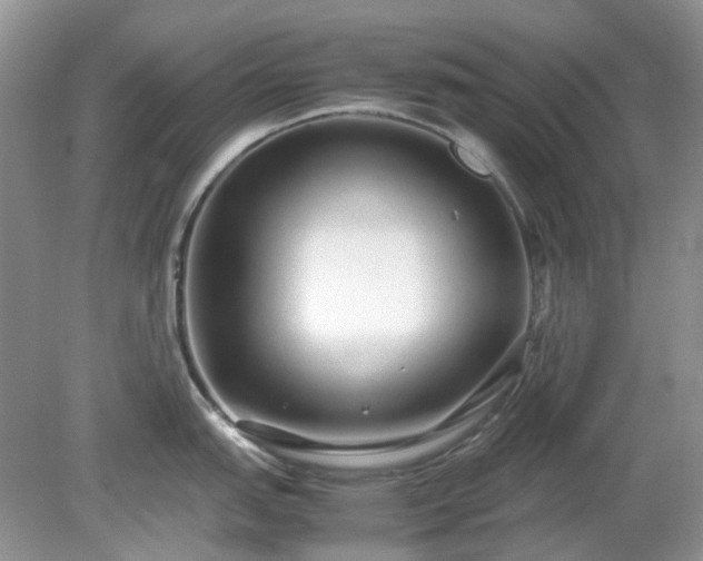 X0000079301151200611251706