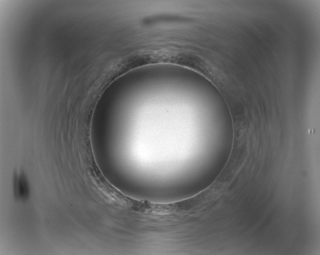 X0000079301153200611251706