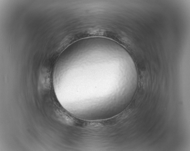 X0000079301154200611251706