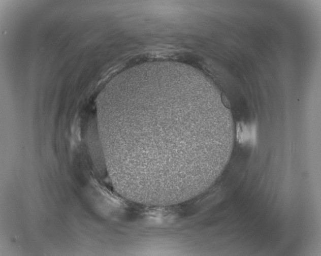 X0000079301155200611251705