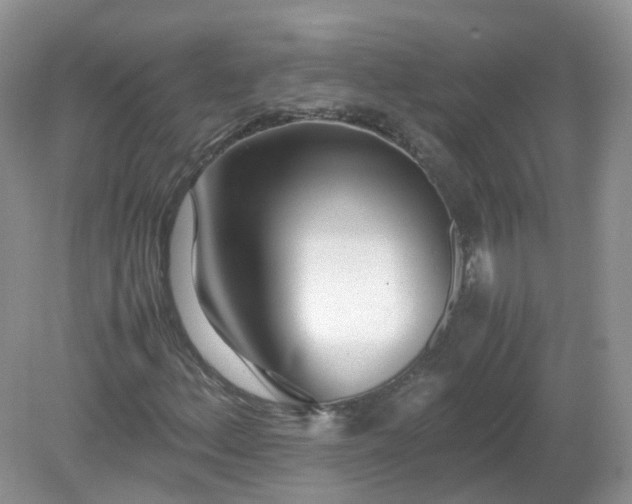 X0000079301156200611251705
