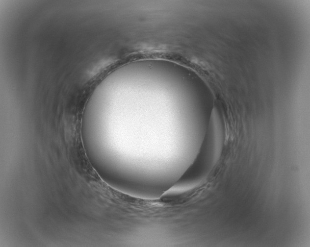 X0000079301157200611251705