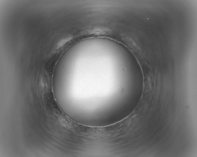 X0000079301158200611251705