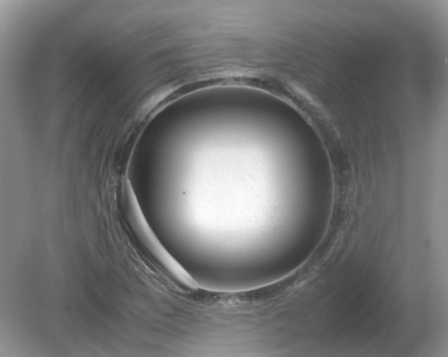 X0000079301169200611251705