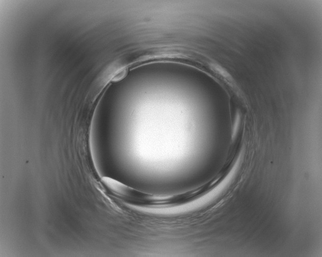 X0000079301177200611251705