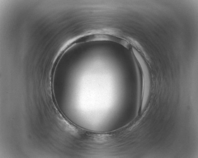 X0000079301184200611251705