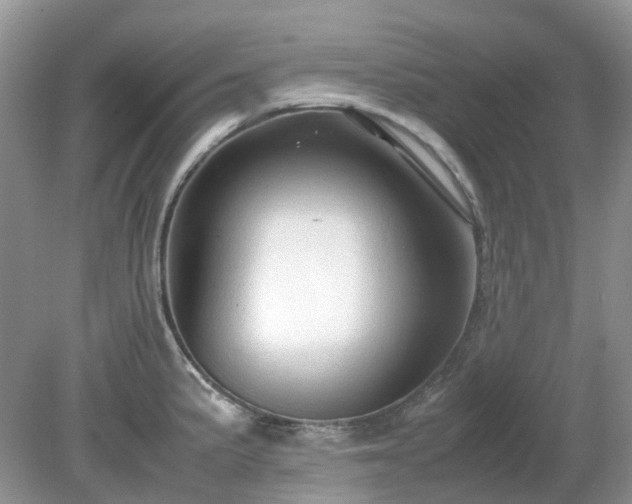 X0000079301191200611251705