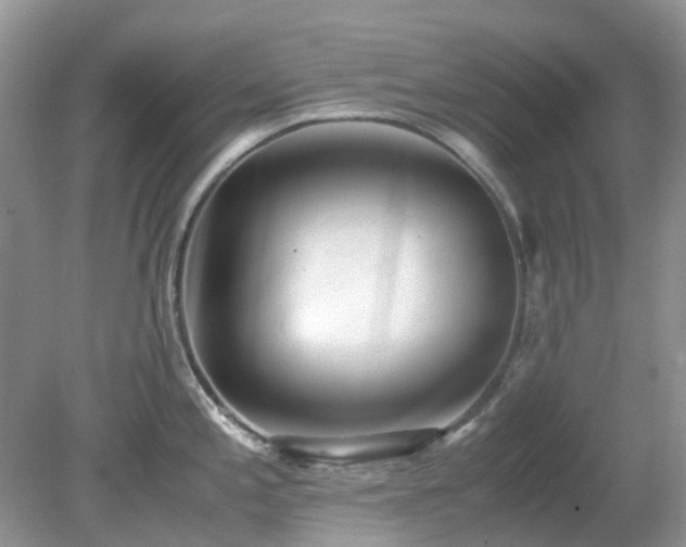 X0000079301197200611251705