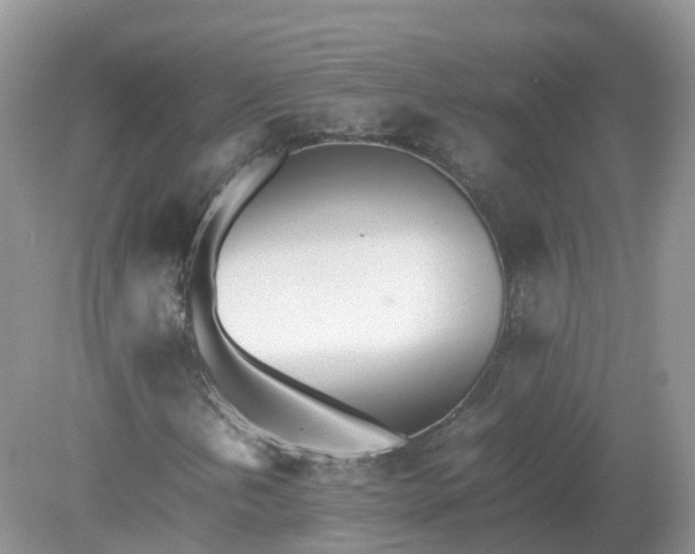 X0000079301202200611251704