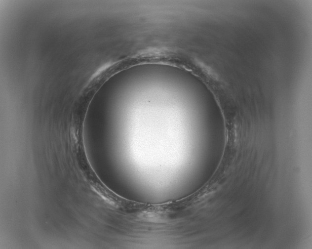 X0000079301206200611251704