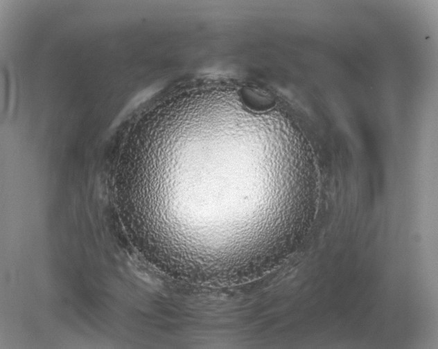 X0000079301207200611251704