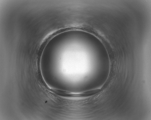 X0000079301214200611251704