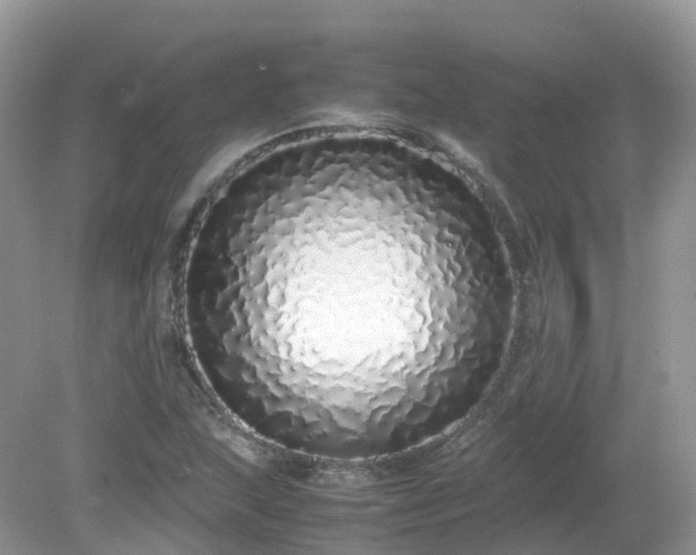 X0000079301215200611251704