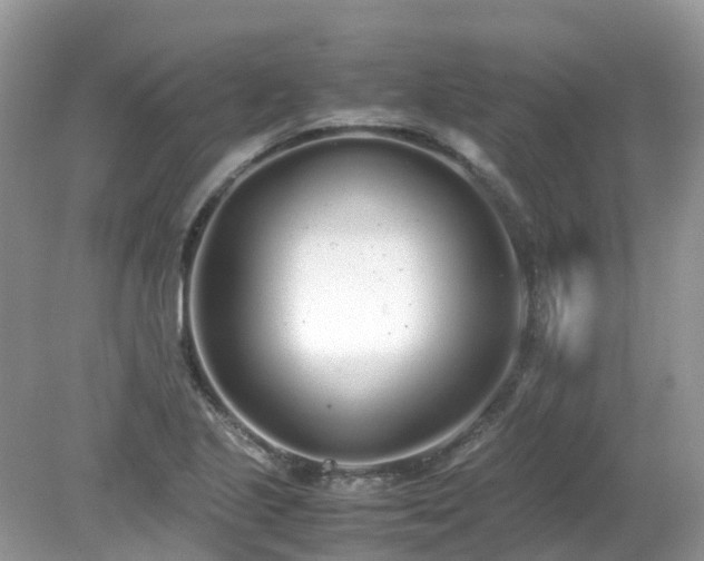 X0000079301221200611251704