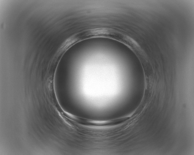 X0000079301225200611251704