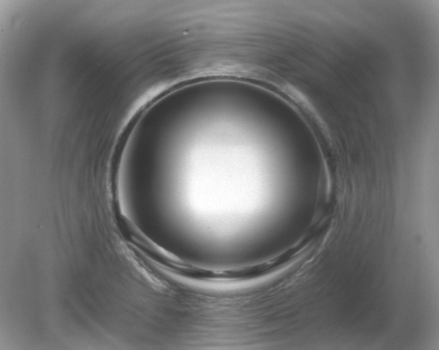 X0000079301230200611251704