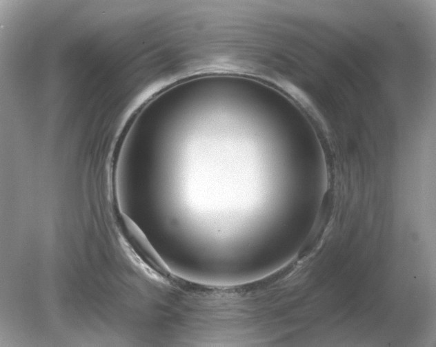 X0000079301238200611251705