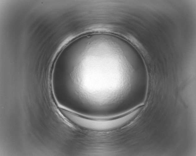 X0000079301240200611251705