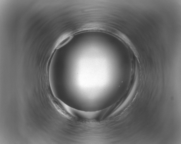 X0000079301242200611251705