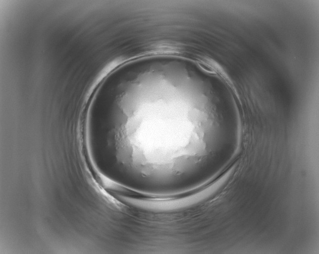 X0000079301243200611251705